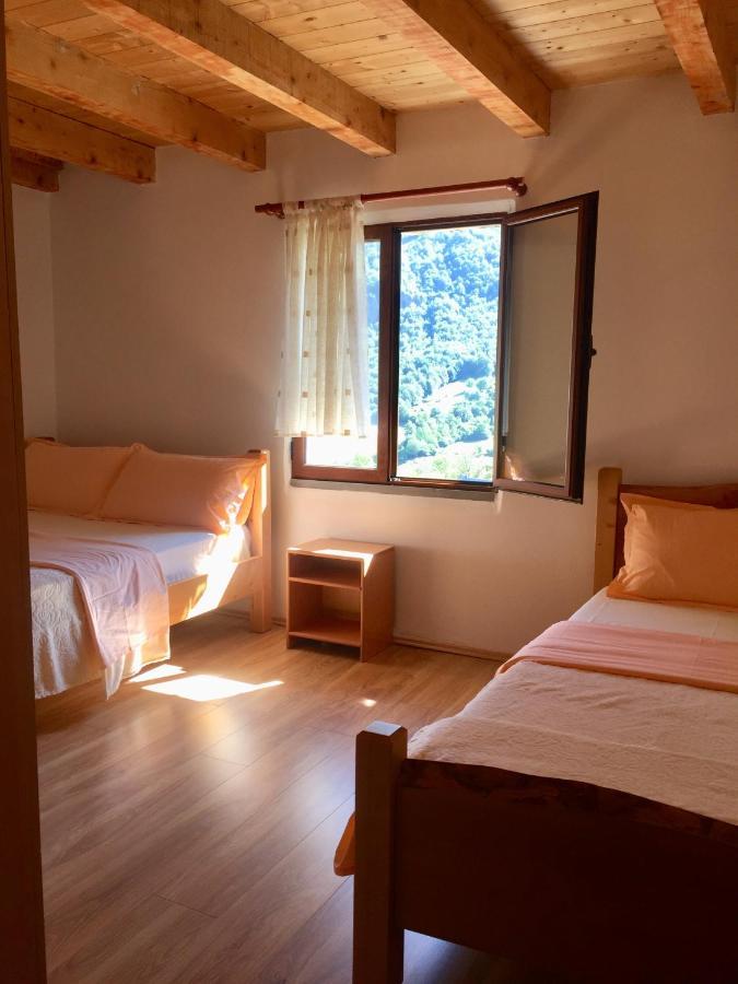 Guest House Panorama テス エクステリア 写真